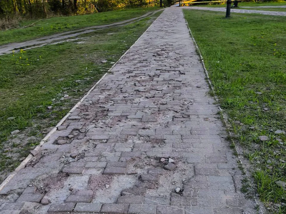 Фото: пресс-служба администрации м.о. Шатура