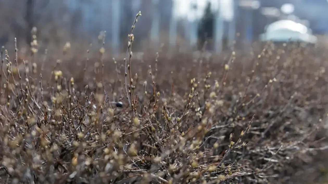 REGIONS/Роман Малышенко