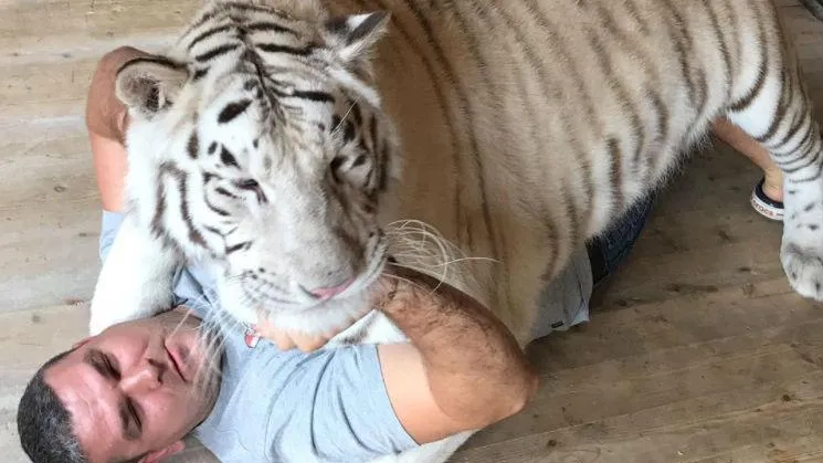 mihail_tiger/instagram.com