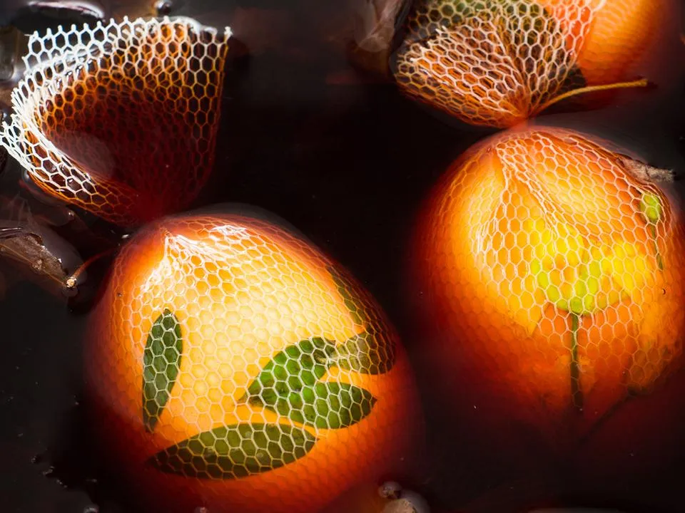 Фото: istockphoto.com