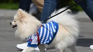 Фото: РИА Новости/Павел Бедняков