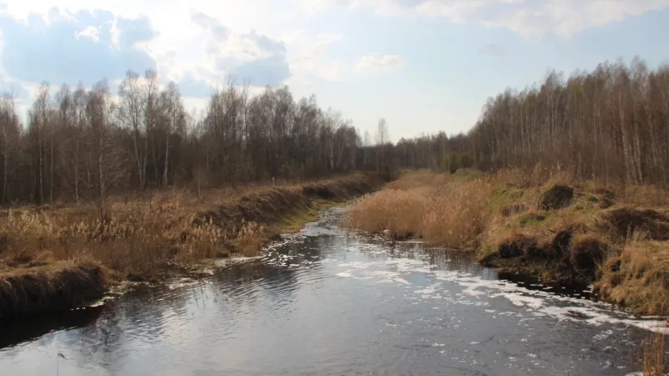 Фото: REGIONS/Василий Тремасов