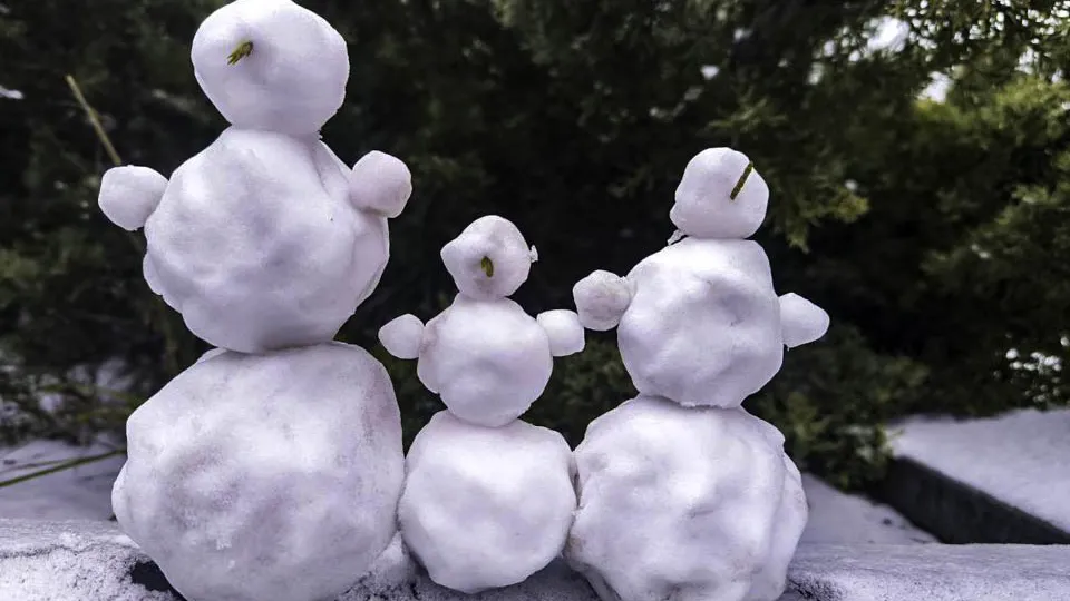 Фото: REGIONS/ Роман Малышенко