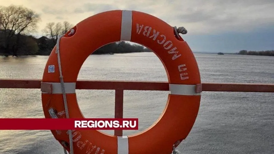 Фото: пресс-служба администрации городского округа Луховицы