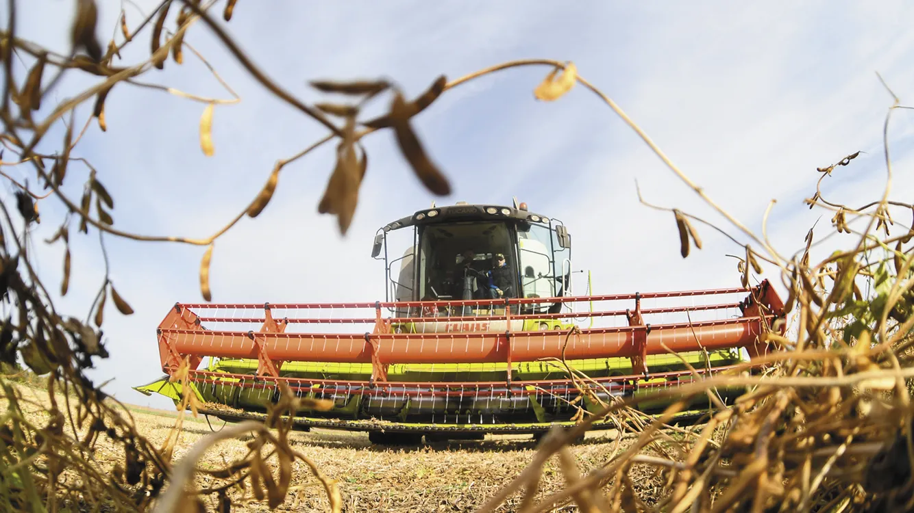 Фото: пресс-служба губернатора и правительства Московской области