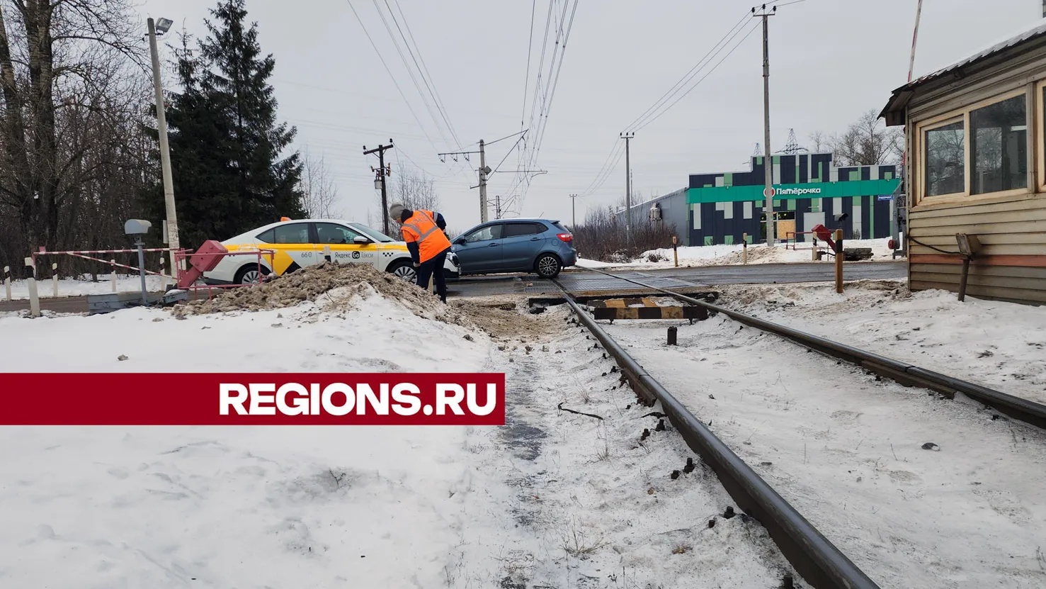 Фото: Нина Басистая