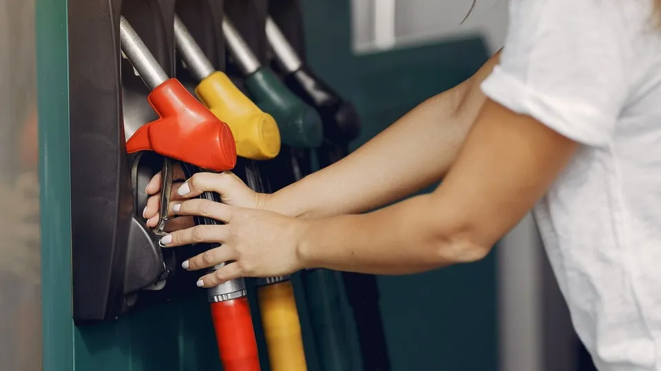 Фото: freepik.com