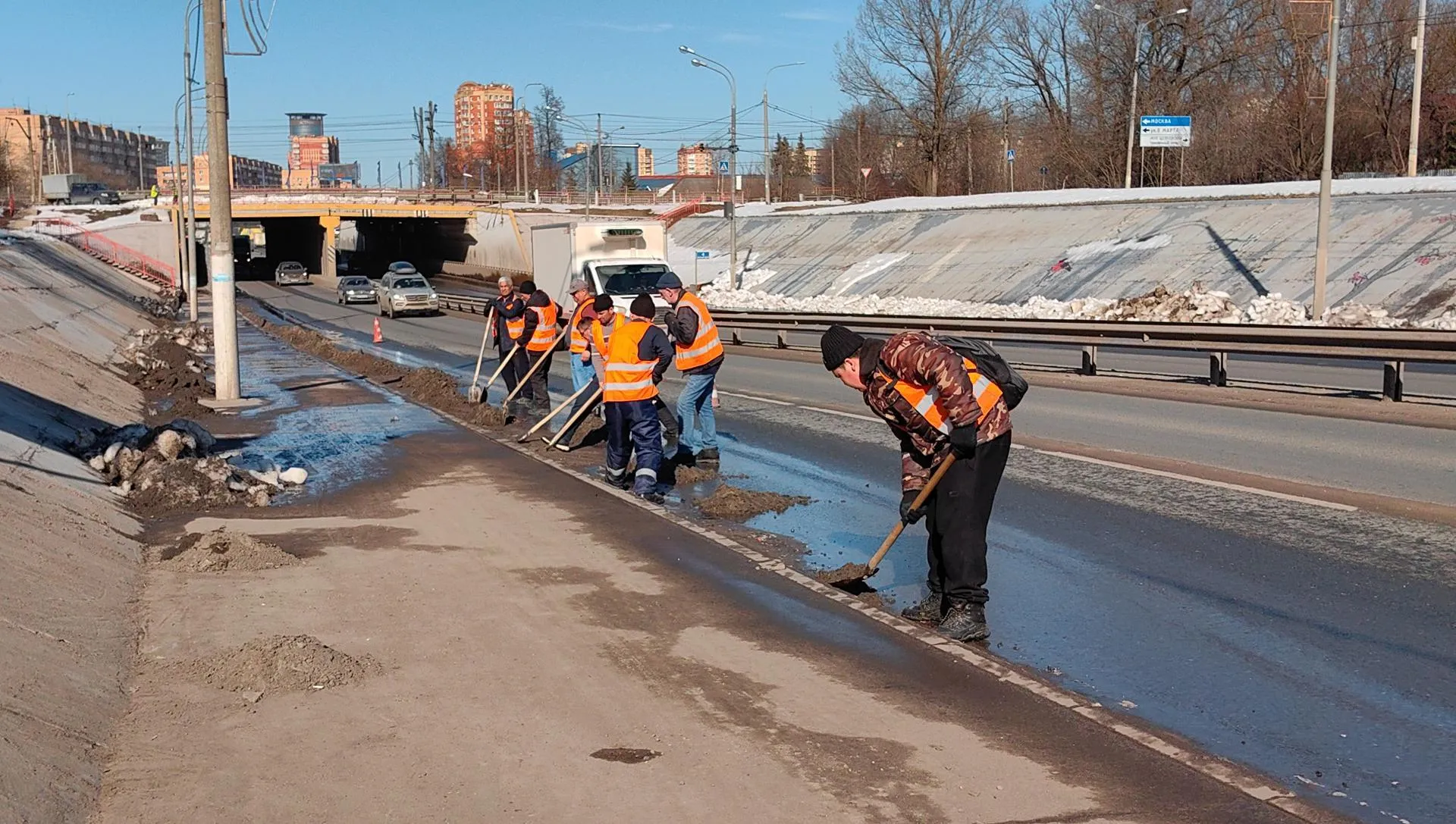 Елена Катасонова
