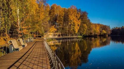 Топ мест для прогулок во время локдауна составили в Подмосковье