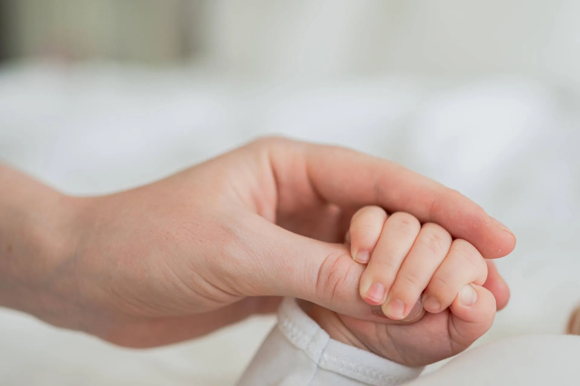 IMAGO/Zoonar.com/Iuliia Zavalish