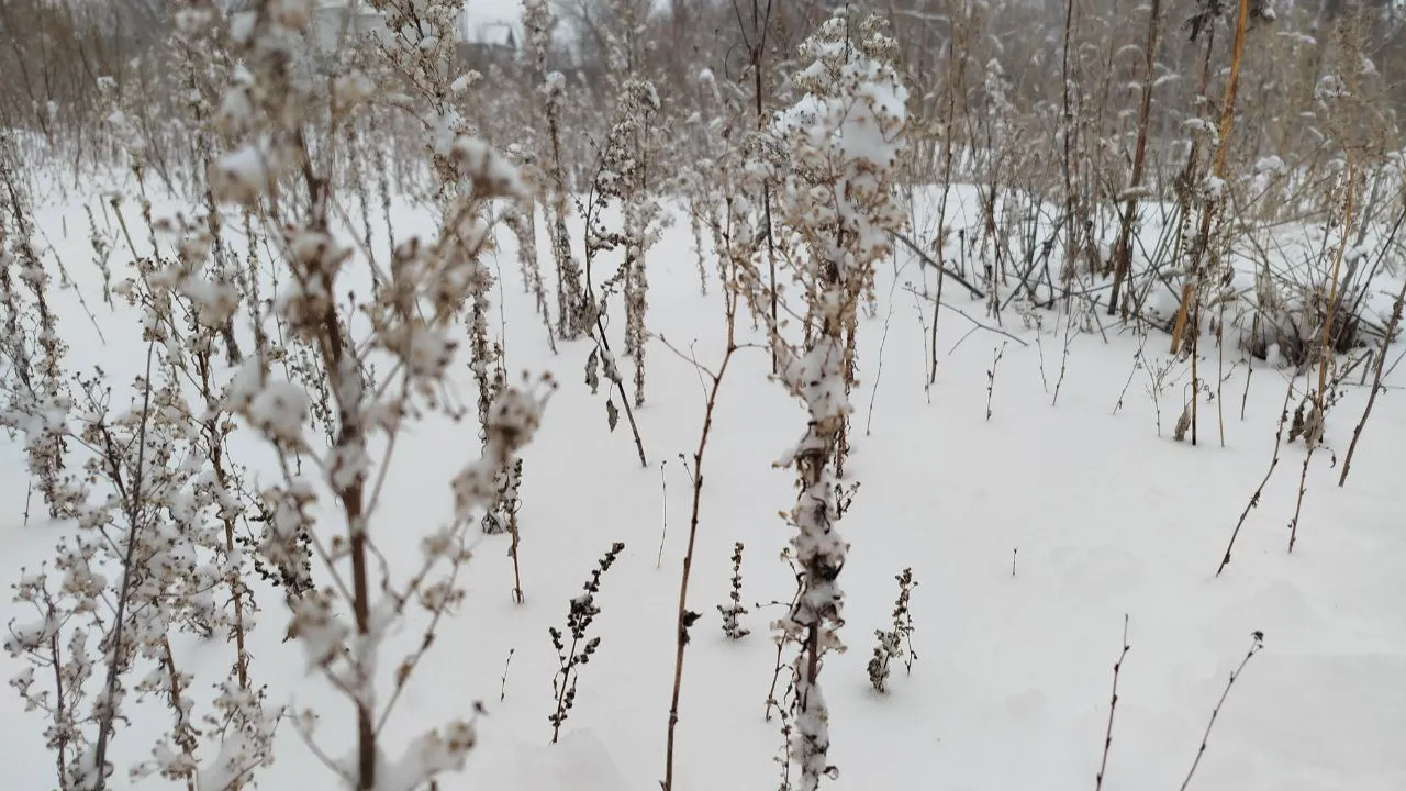 REGIONS/Юлия Куделькина