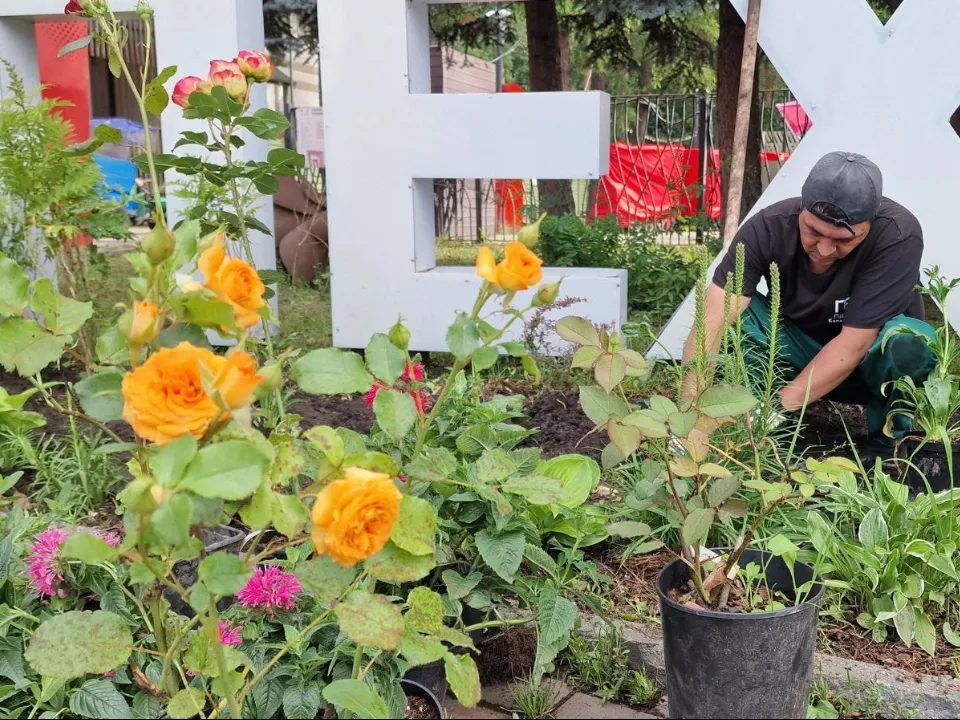 Фото: Виктория Фортуна