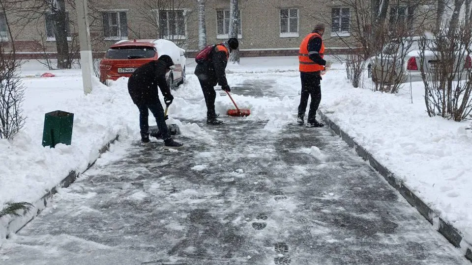 Фото: пресс-служба администрации г.о. Домодедово