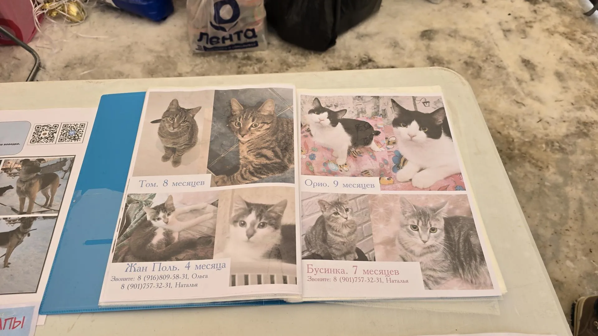 МедиаБанк Подмосковья/Марина Анисимова