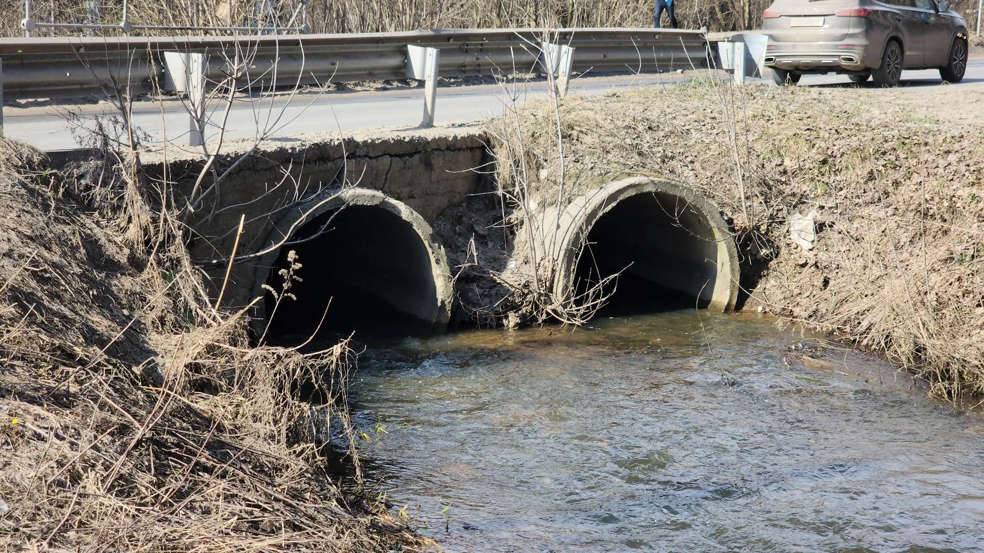 Роман Кутузов