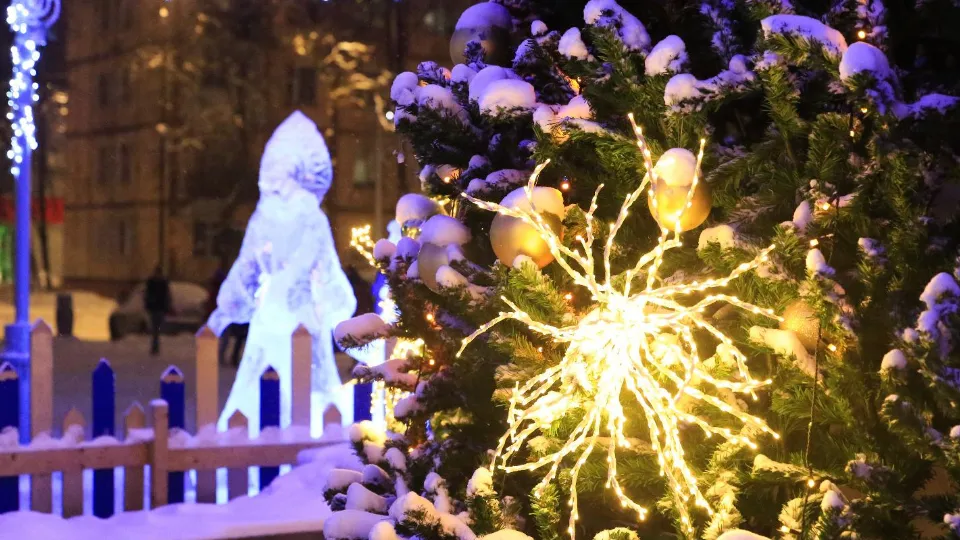 Фото: пресс-служба администрации г.о. Долгопрудный