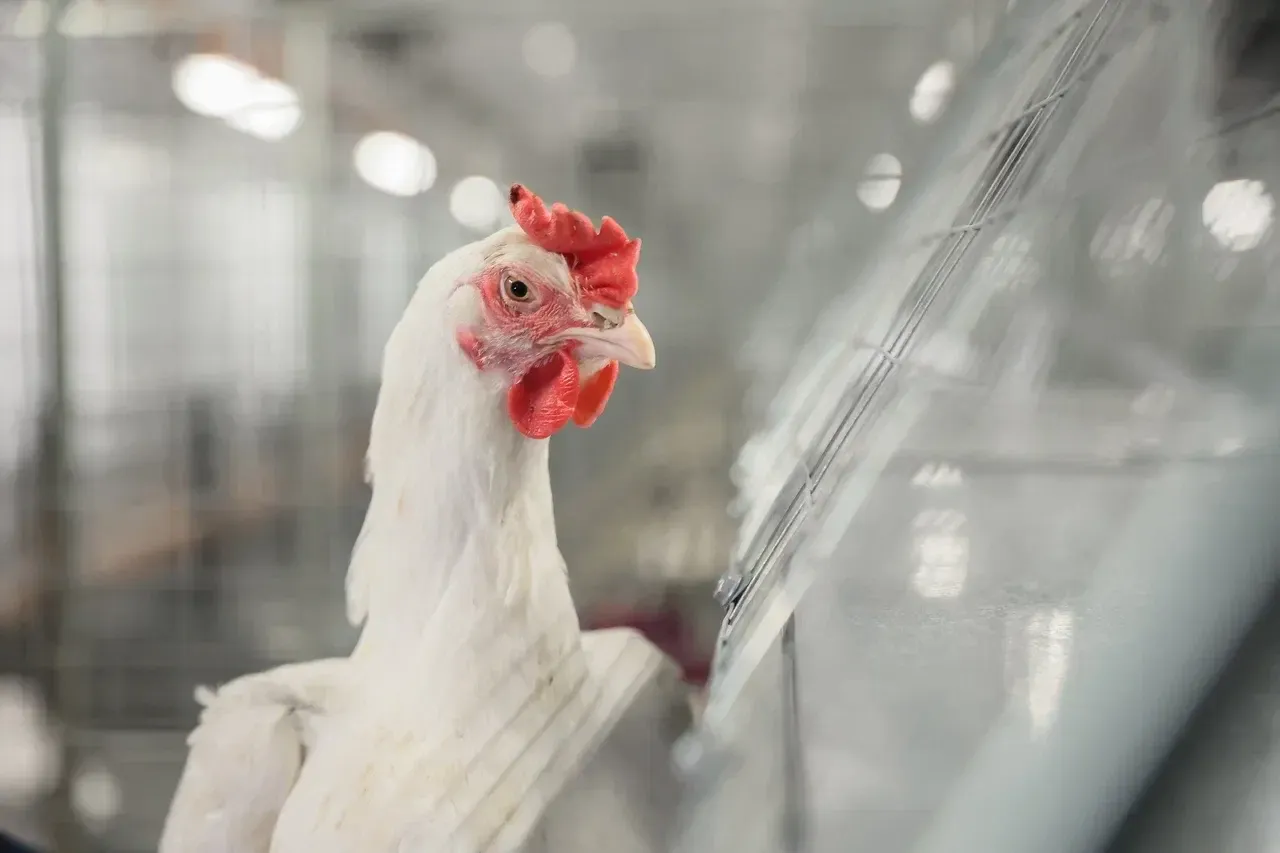 Фото: пресс-служба губернатора Московской области