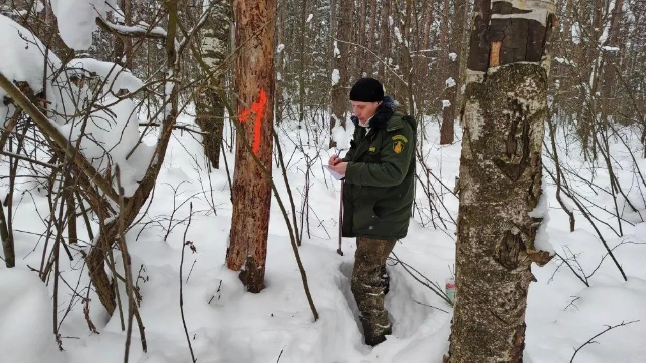 t.me/egorevskoelesnichestvo