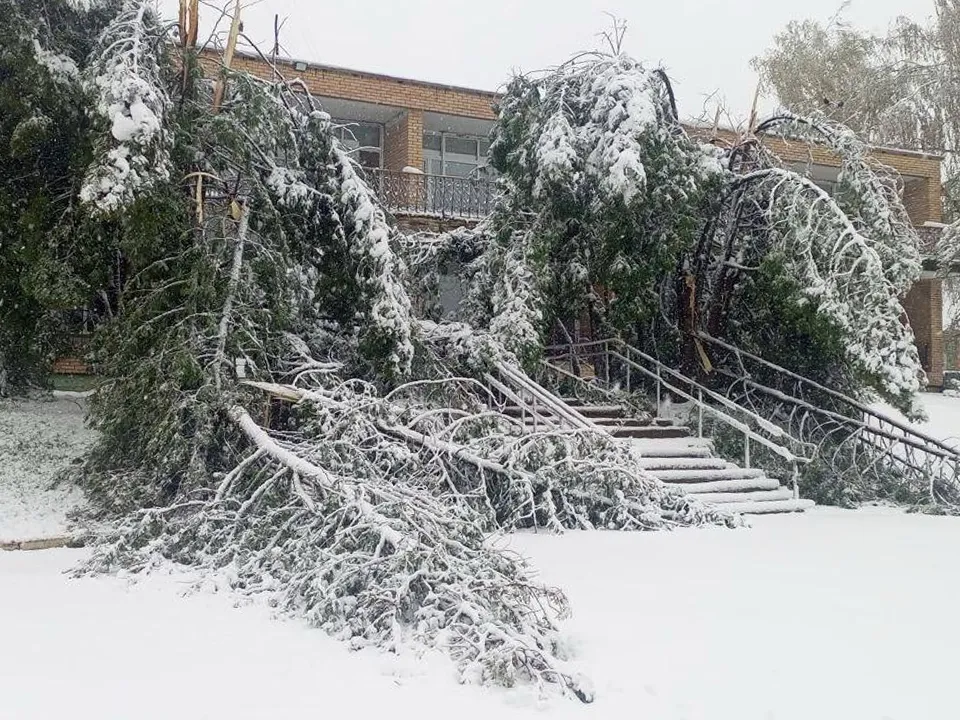 Фото: Минэнерго Московской области