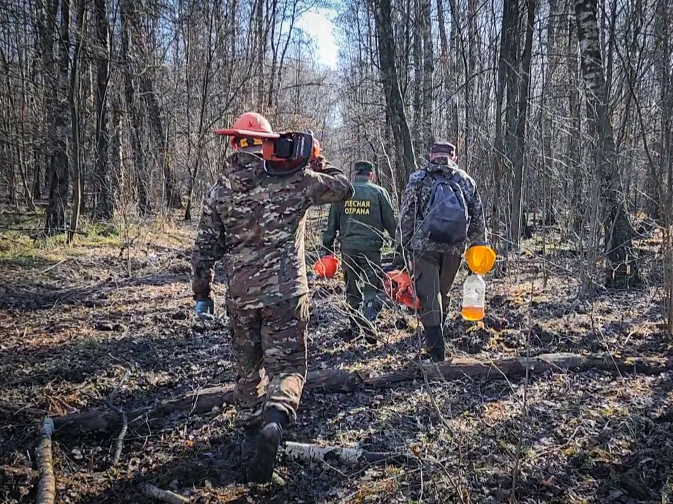 Фото: Ольга Антонова