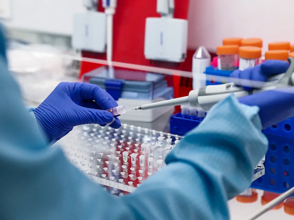 Фото: ТАСС/Антон Новодережкин