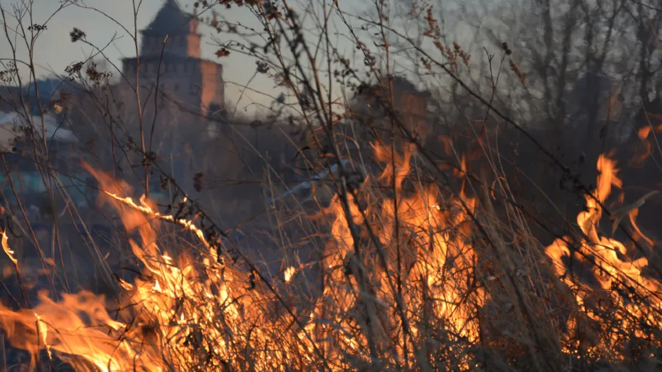 Фото: медиасток.рф