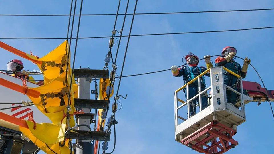 Фото: пресс-служба губернатора и правительства Московской области