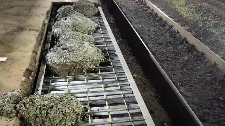 Фото: пресс-служба администрации городского округа Королев