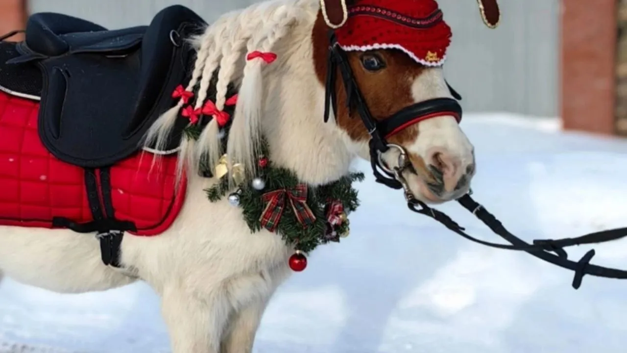 Фото: t.me/NovostiSergievPosad