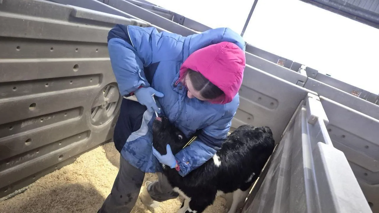 Министерство образования МО