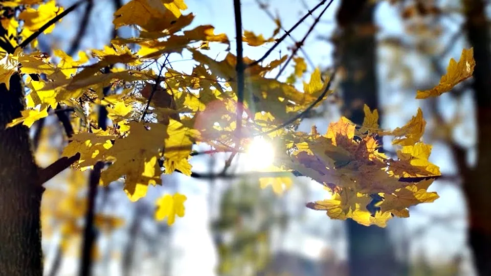 Фото: REGIONS/Алексей Селиверстов