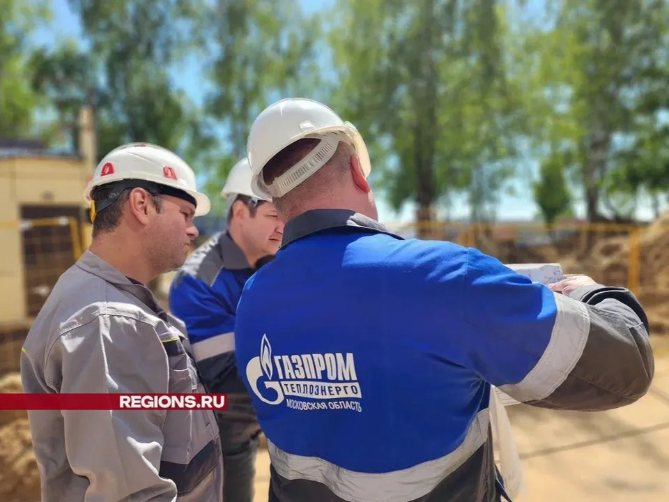 Фото: Светлана Плотникова