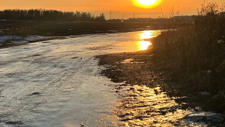 Фото: Елена Фурман