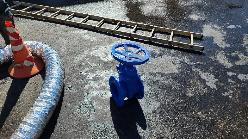 Фото: МедиаБанк Подмосковья/Сергей Орлов