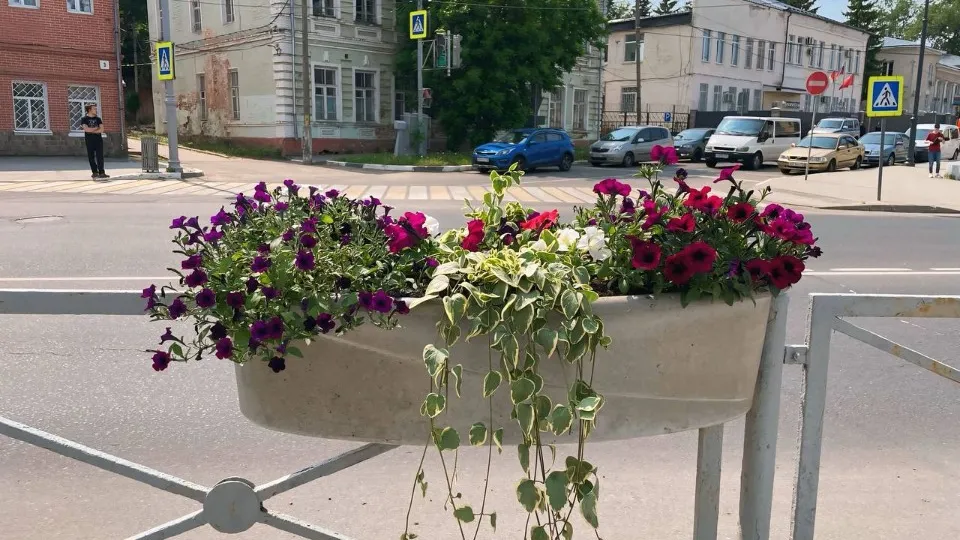 Фото: t.me/volokolamskiigo