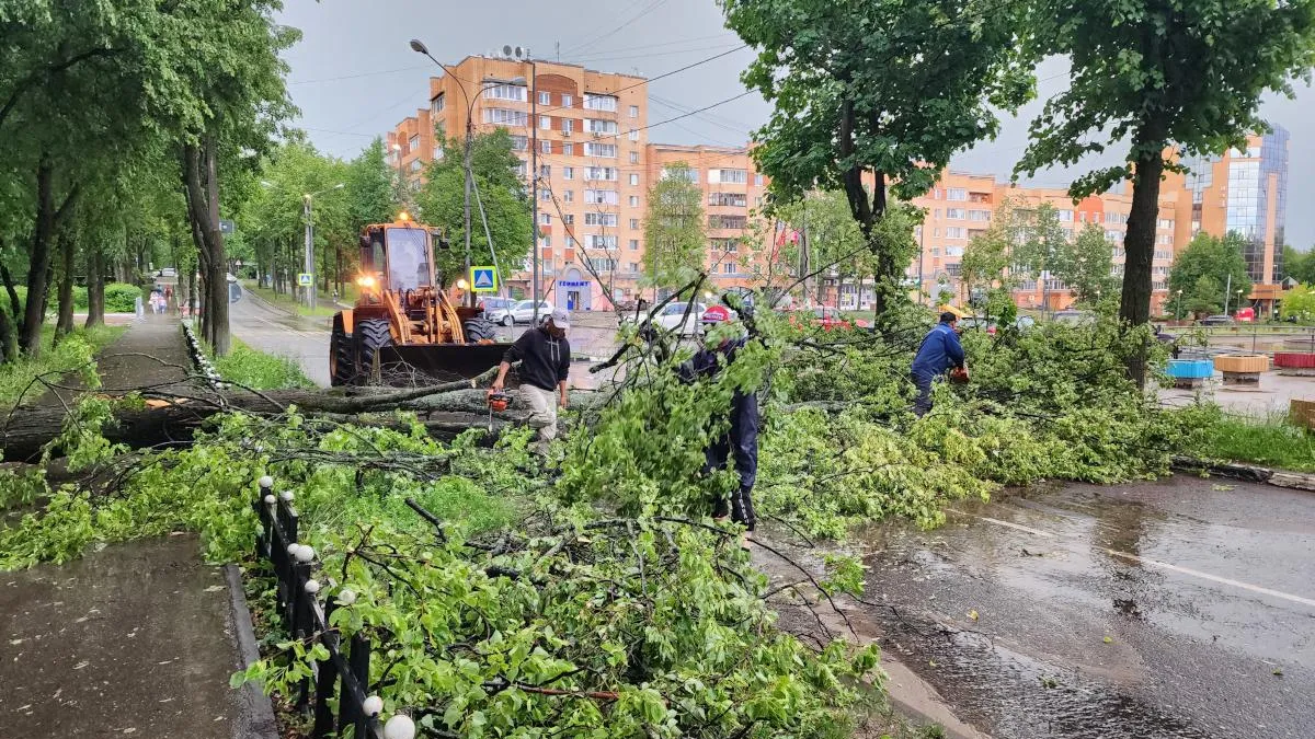 Апрельский апокалипсис в Подмосковье: снегопад повалили почти 1200 деревьев