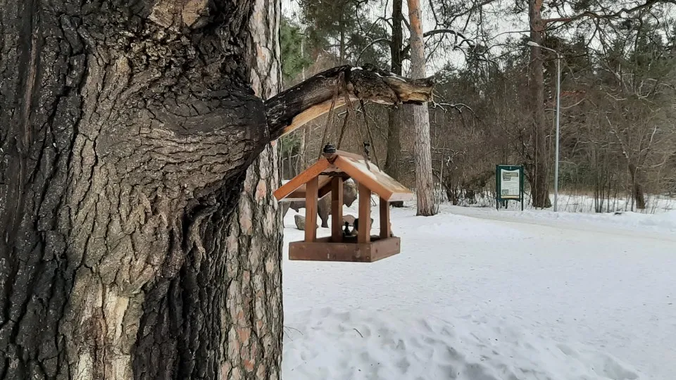 Фото: МедиаБанк Подмосковья/Жанна Однороб