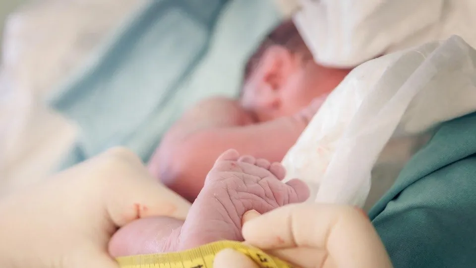 Фото: МОЦОМД