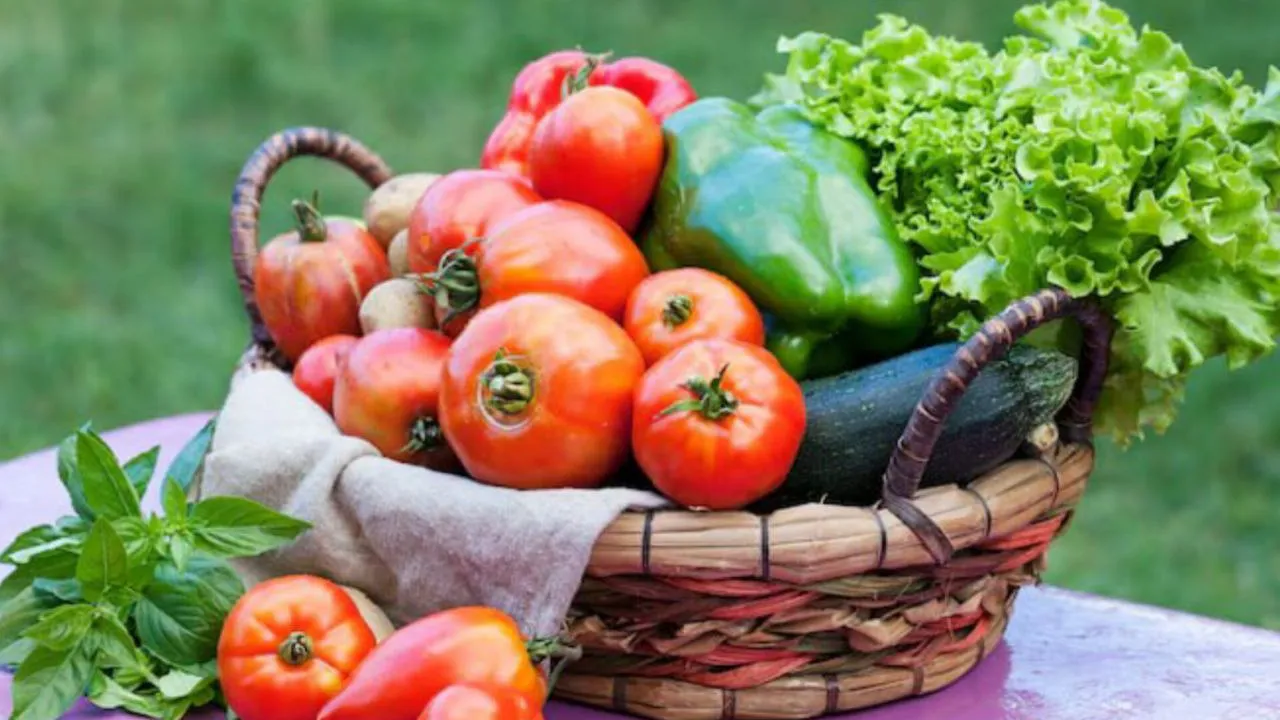 Фото: freepik.com