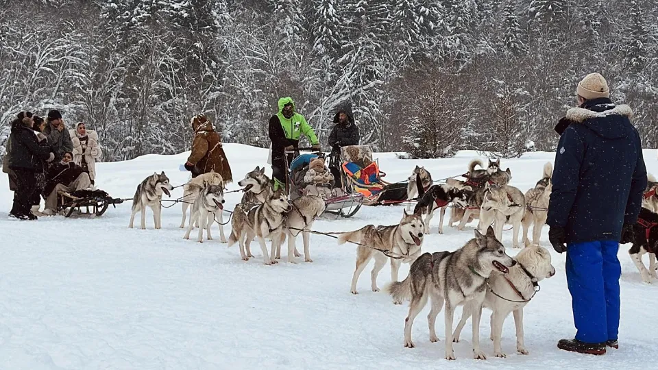 Фото: Кристина Тришина