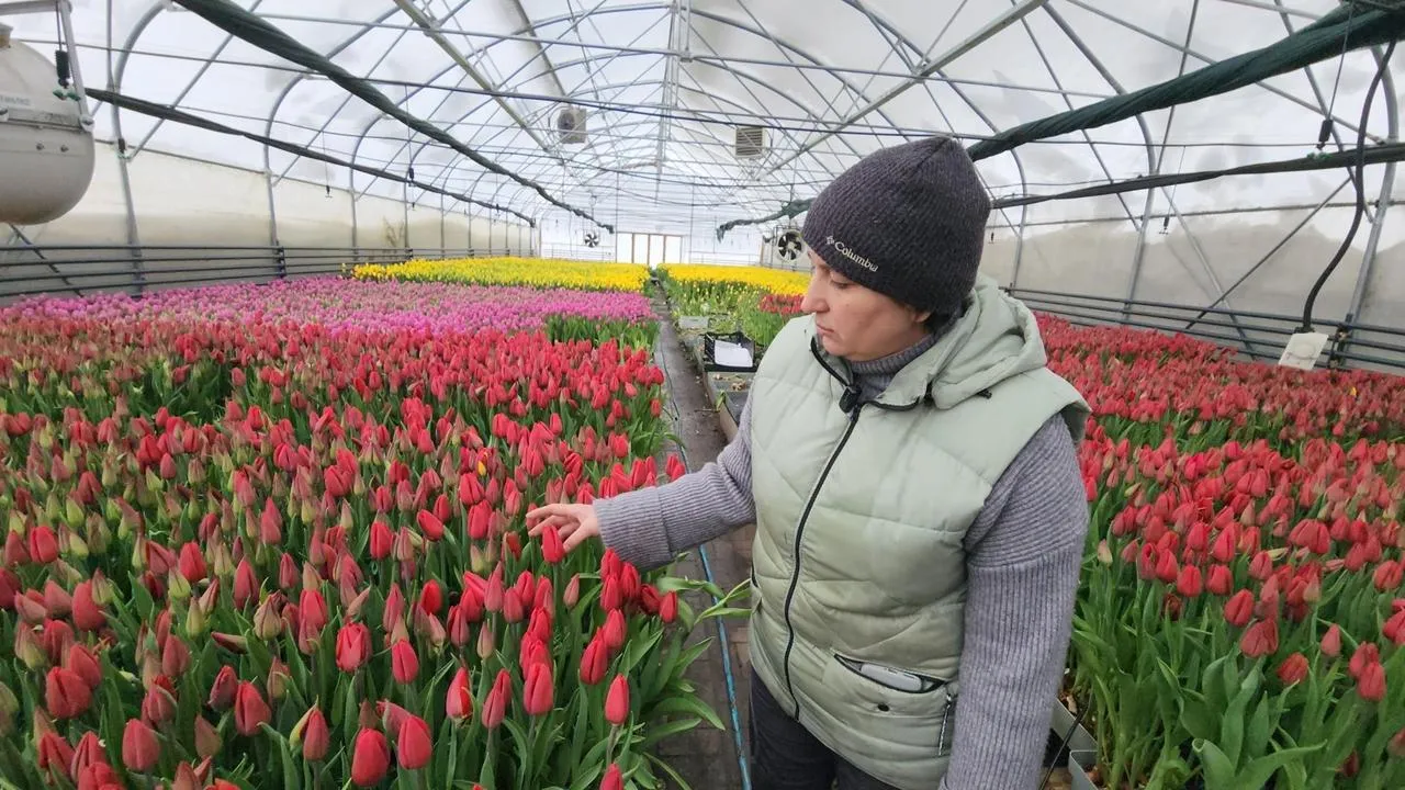 REGIONS/Валерий Гореловский