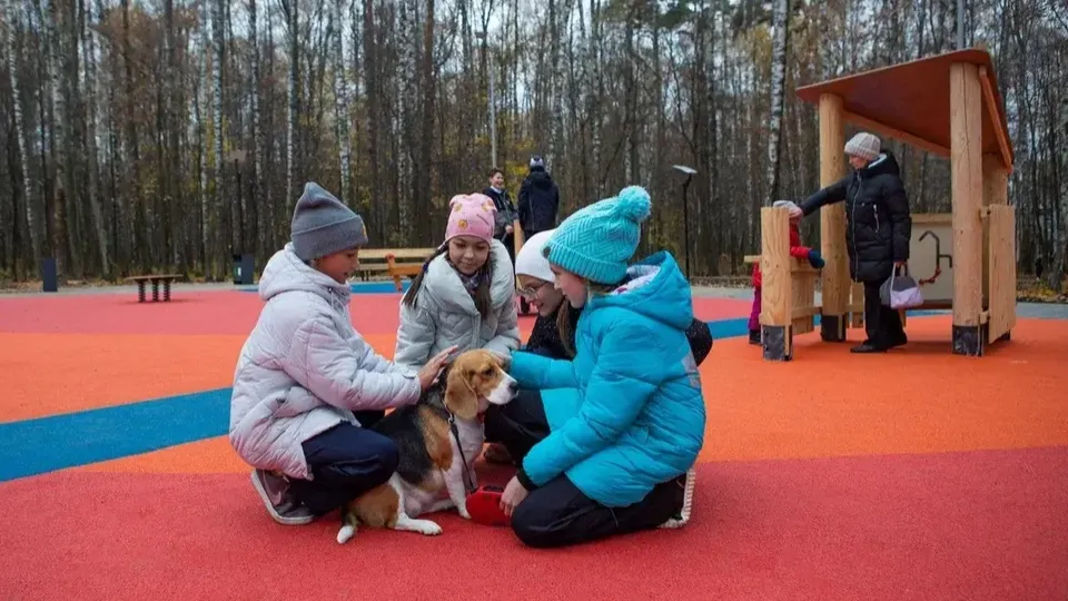 Фото: Министерство благоустройства Московской области