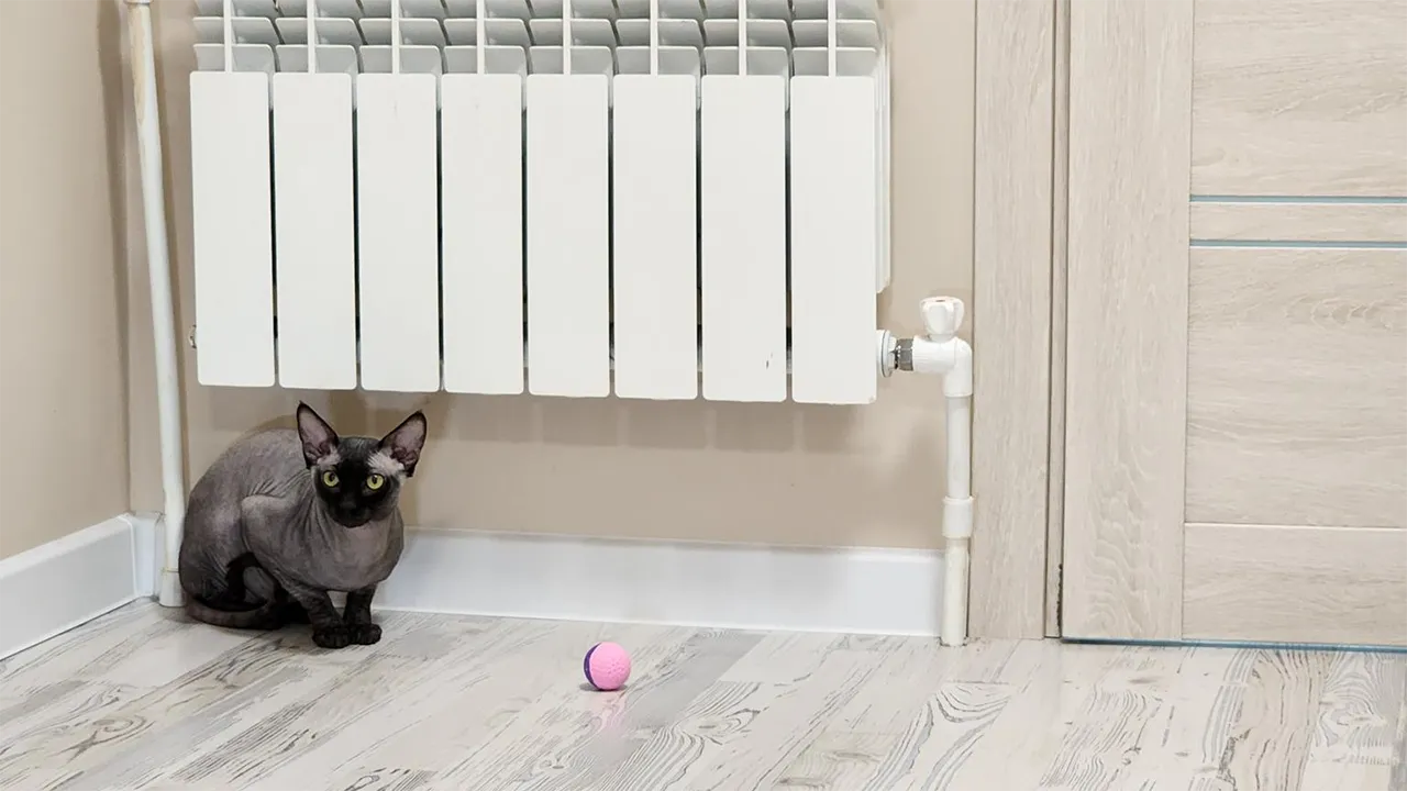 Фото: из личного архива Анастасии Галишниковой