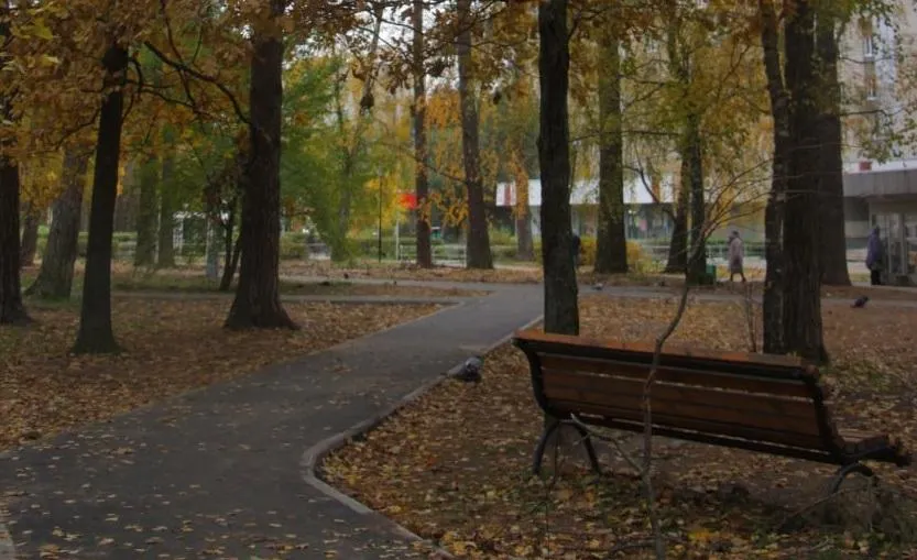 Фото: пресс-служба администрации Протвино