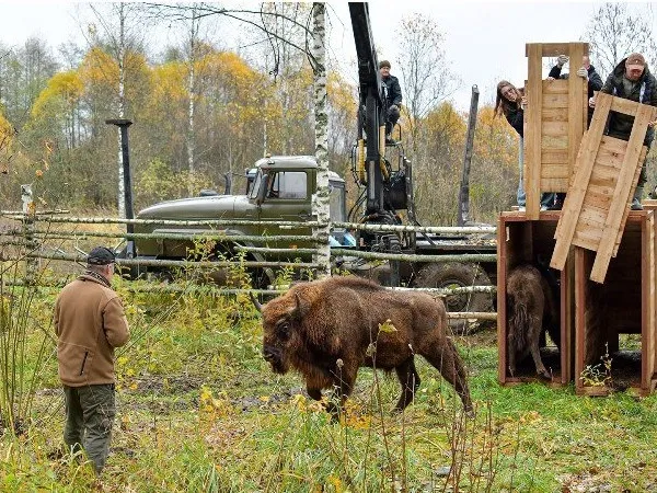 Фото: Приокско-Террасный государственный заповедник
