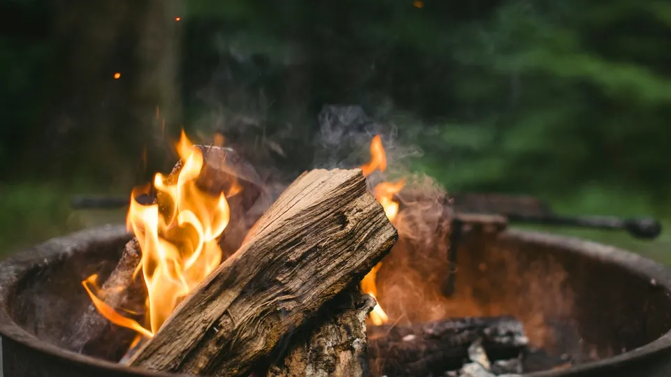 Фото: pxhere.com