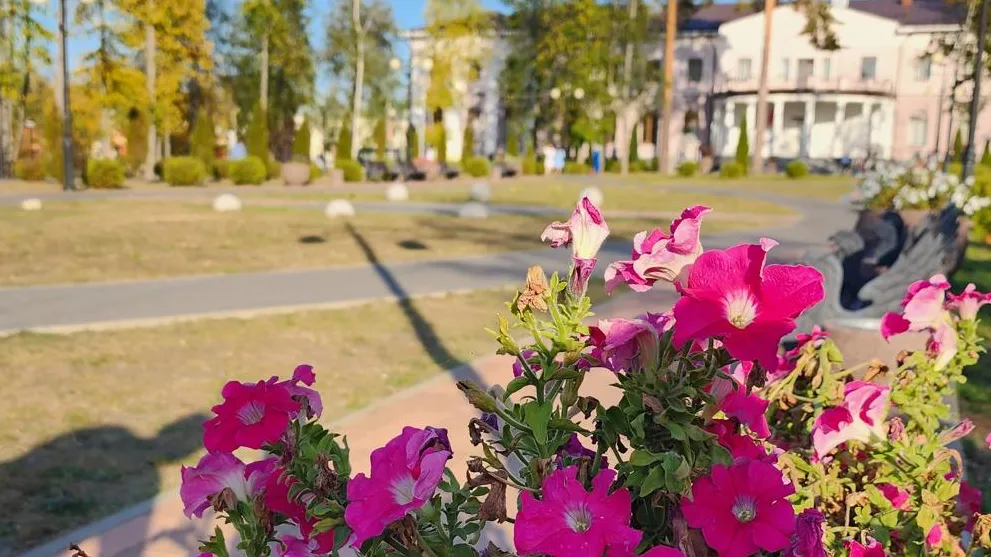 Фото: из архива редакции газеты «Большая Шатура»