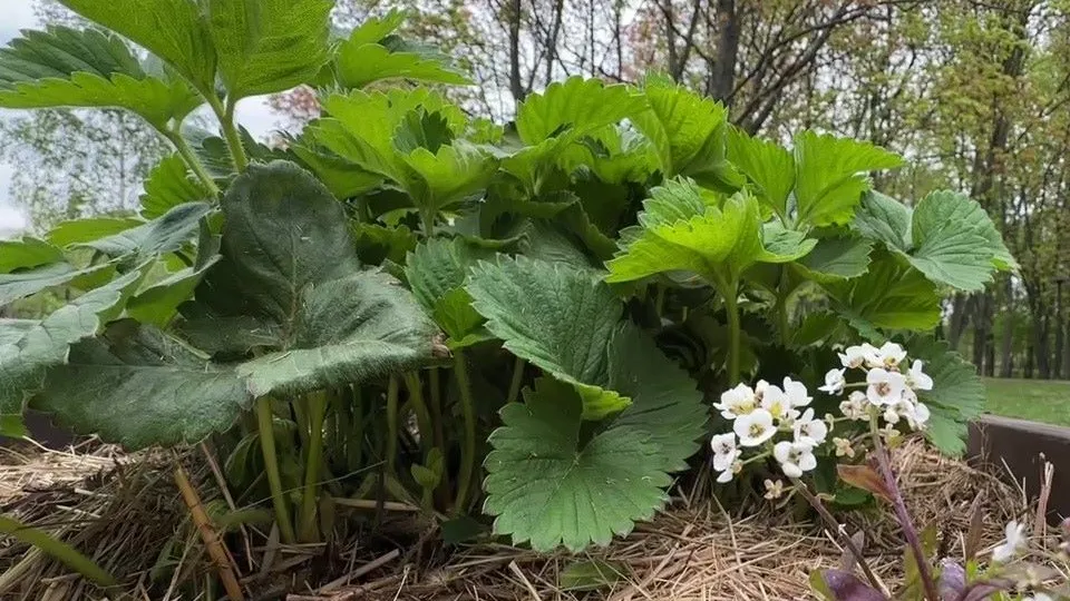 Фото: Медиабанк Подмосковья/Ксения Казакова