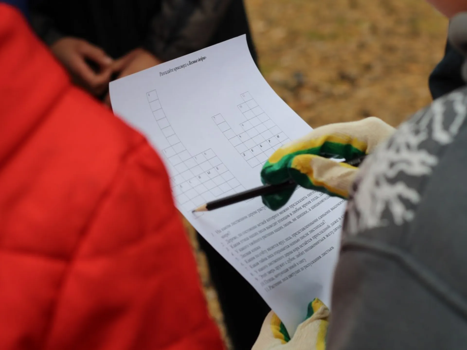 Фото: пресс-служба администрации Луховиц