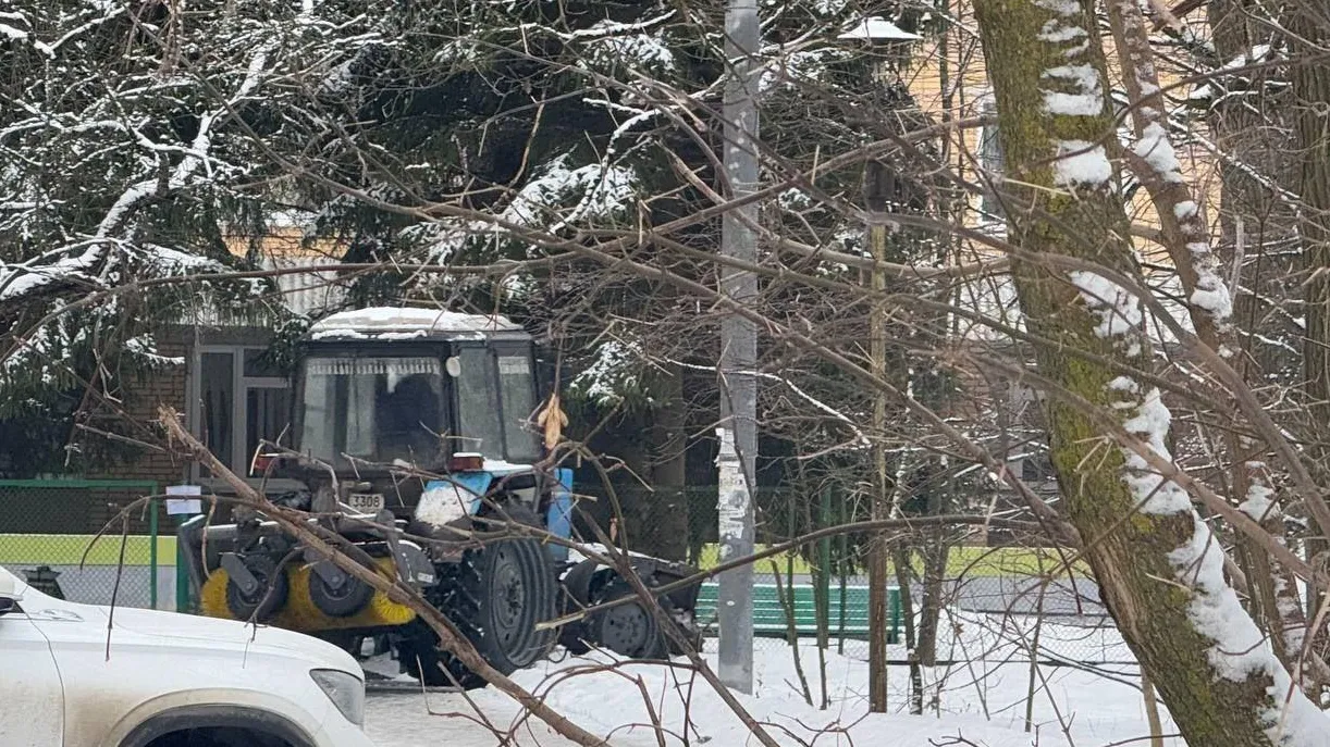 Фото: пресс-служба администрации г. о. Лосино-Петровский